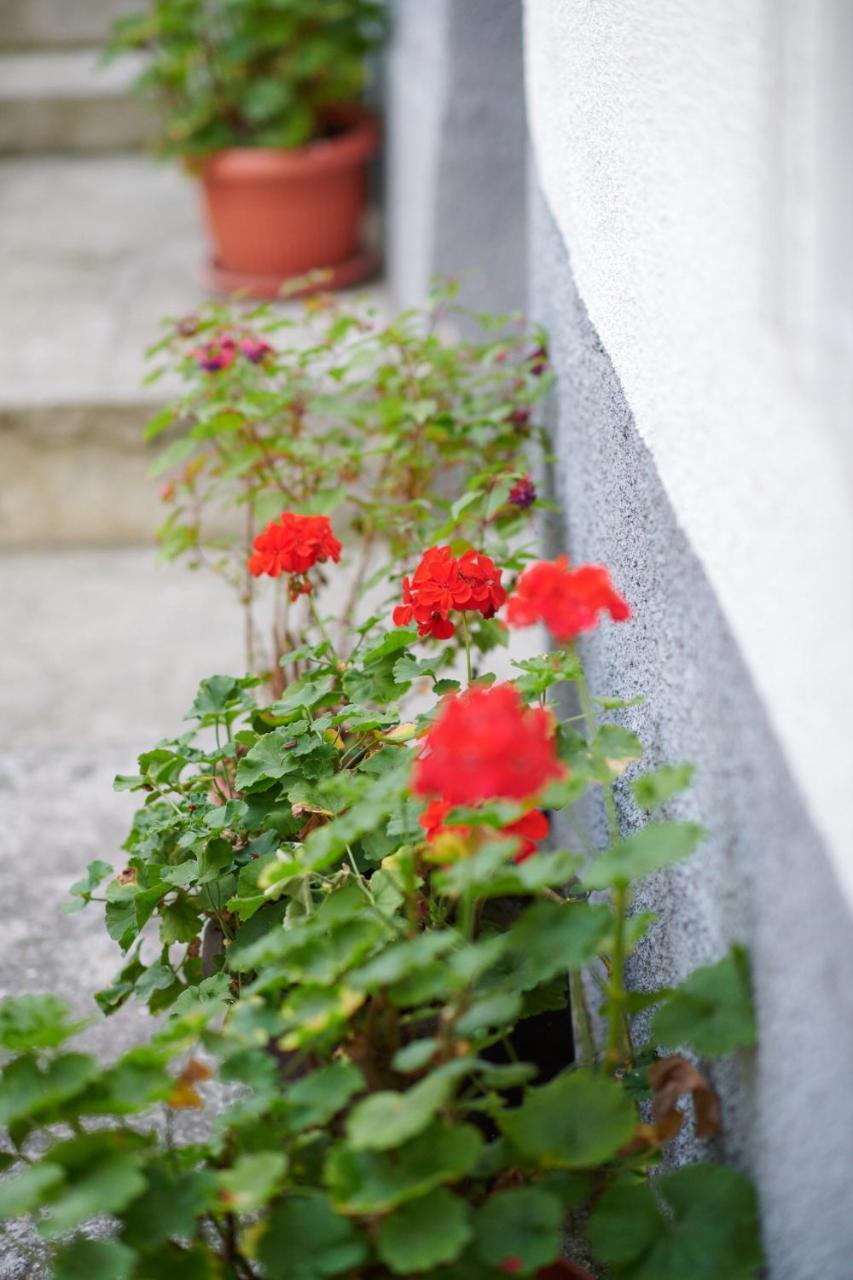 Lovely House Apartment Sarajevo Ngoại thất bức ảnh